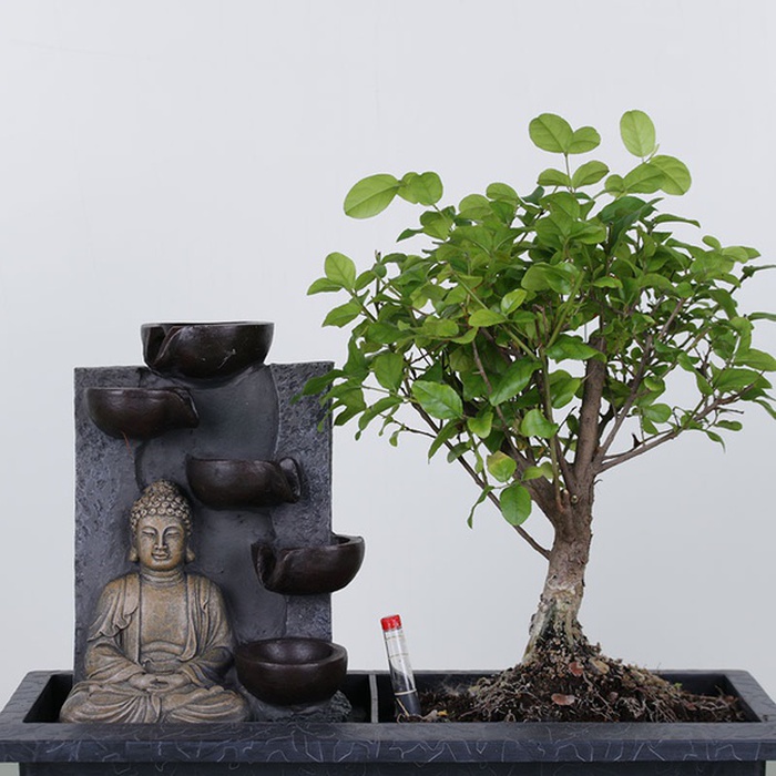 Бонсай в кашпо с водопадом