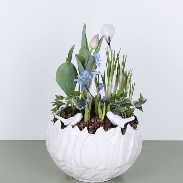 Композиция в кашпо "Весеннее очарование"