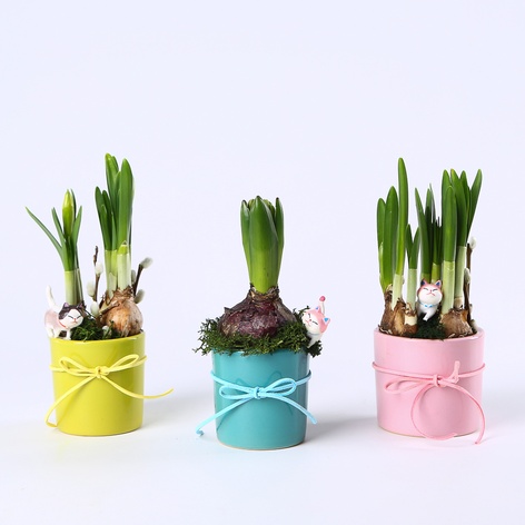 Композиція "Сонячне вітання"