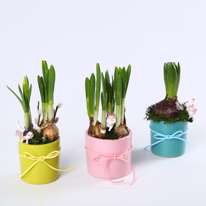 Композиція "Сонячне вітання"