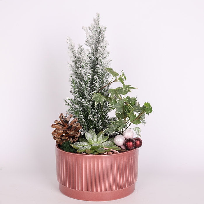 Композиція в кашпо "Зимова чарівність"