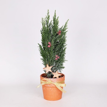 Композиция в кашпо "Зимняя магия"