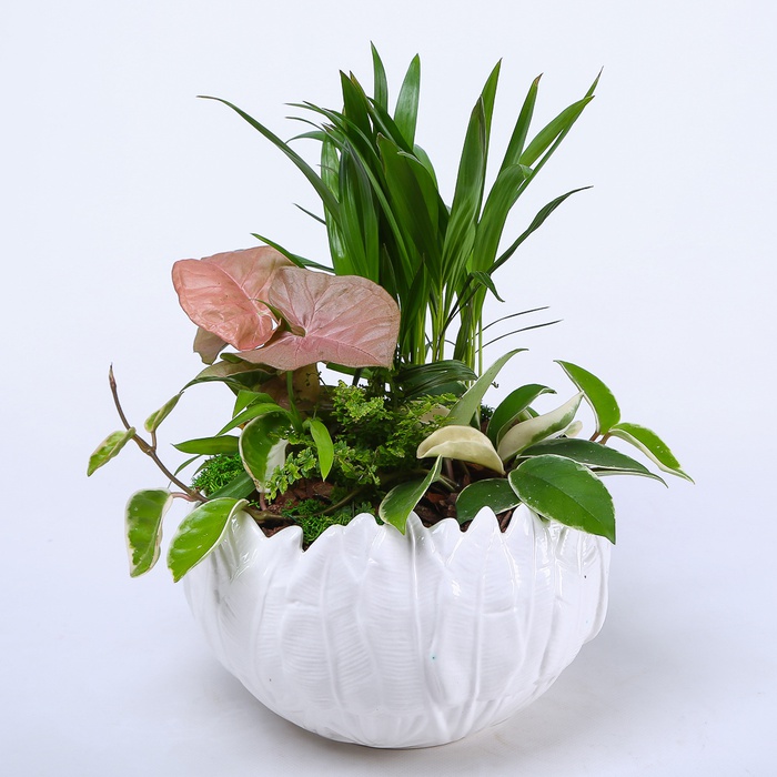 Висадка рослин в кашпо "Природна гармонія"