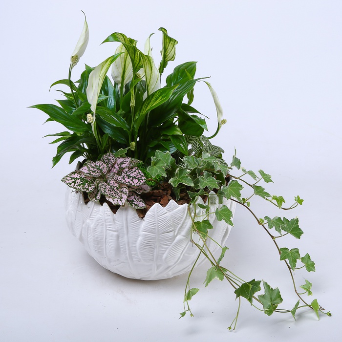 Высадка растений в кашпо "Природная гармония", М