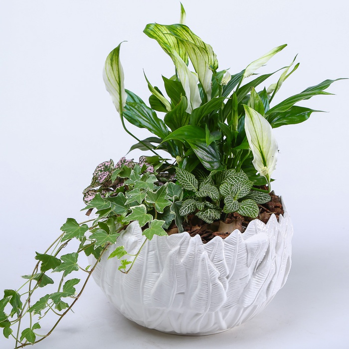 Высадка растений в кашпо "Природная гармония", М