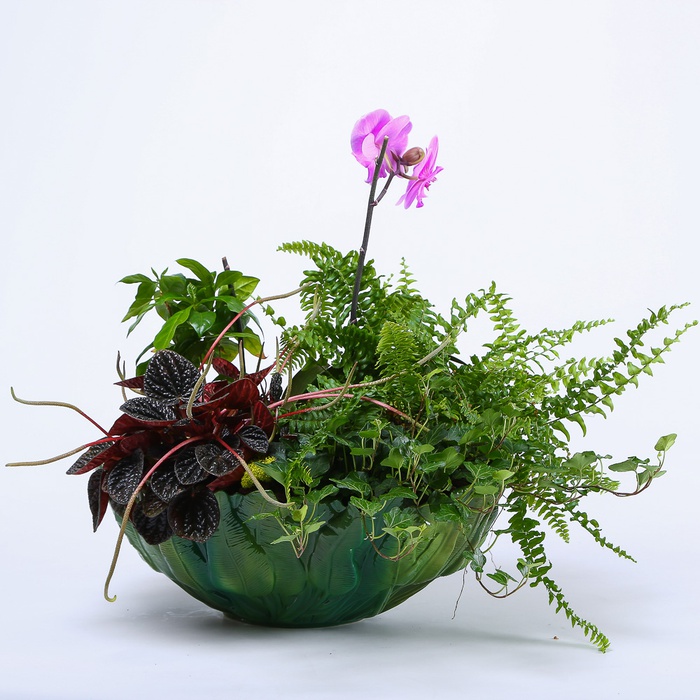 Висадка рослин в кашпо "Квіткова медитація"