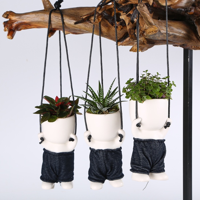 Рослини мікс у керамічному кашпо