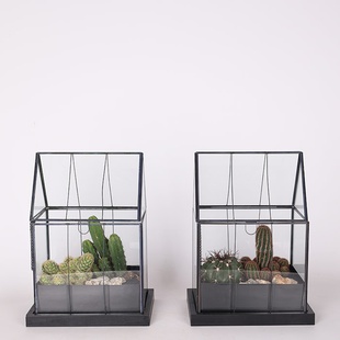 Тераріум "Пустельний дім"