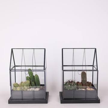 Террариум "Пустынный дом"