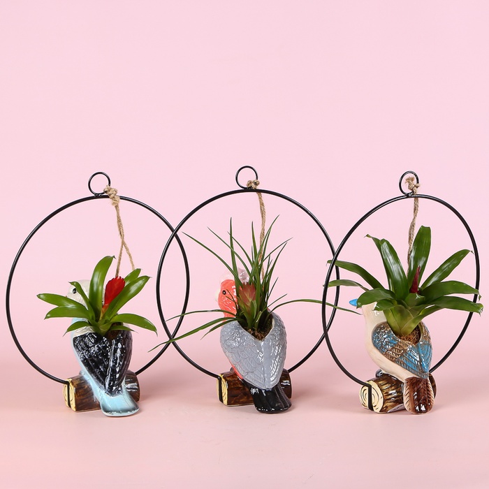 Бромелия микс в декоративном кашпо с птичкой