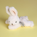 Мягкая игрушка зайчик Buster and Coco Bukowski