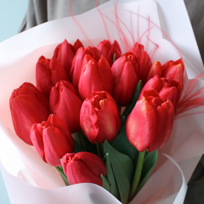 Букет з 15 червоних тюльпанів