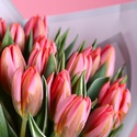 Букет 21 яскравий рожевий тюльпан