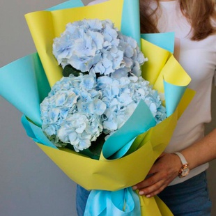 Букет із блакитної гортензії