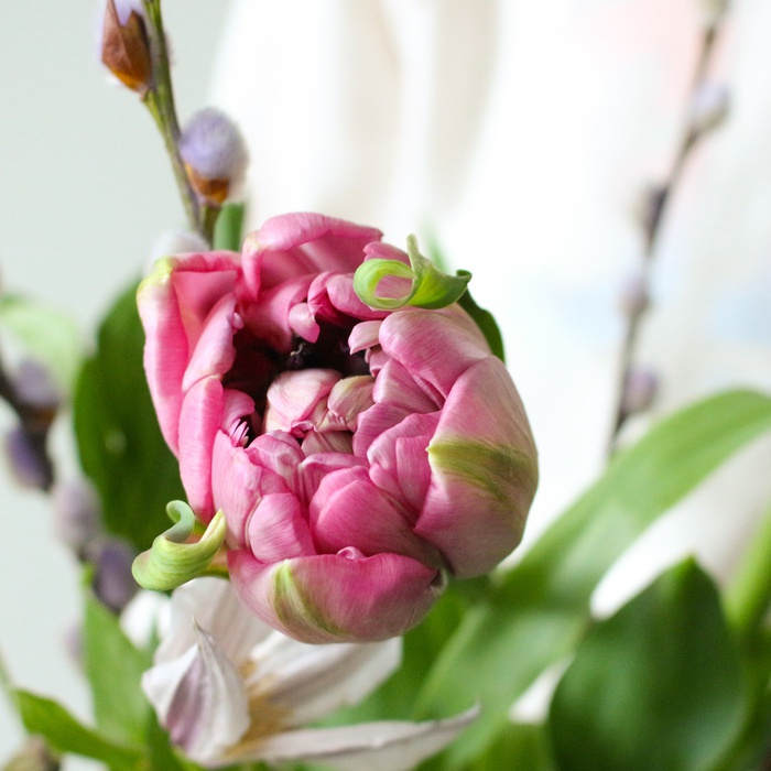 Букет 7 французских тюльпанов с клематисом и вербой