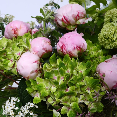 Букет из гортензии, пиона, антуриума и дельфиниума "Нежность в зеленом"