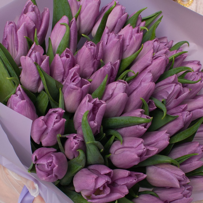 Букет 51 ніжно-фіолетовий тюльпан
