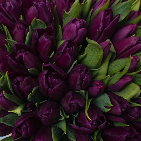 Цветы в корзине "101 фиолетовый тюльпан"
