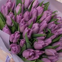 Букети бузкових тюльпанів "Дві історії"