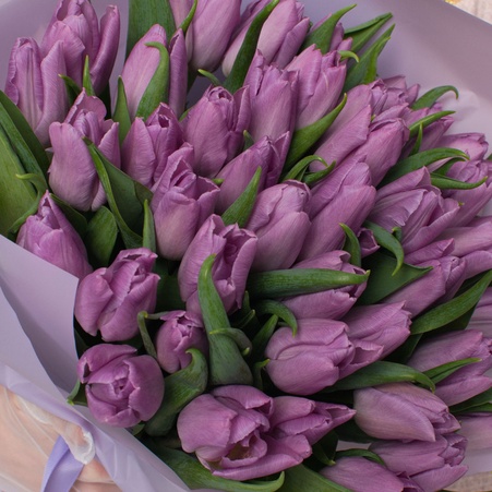 Букети бузкових тюльпанів "Дві історії"