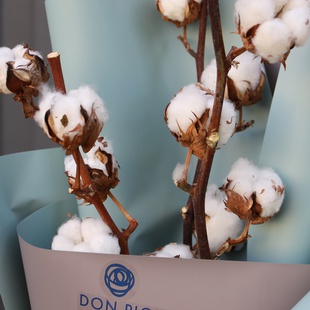 Букет з бавовни