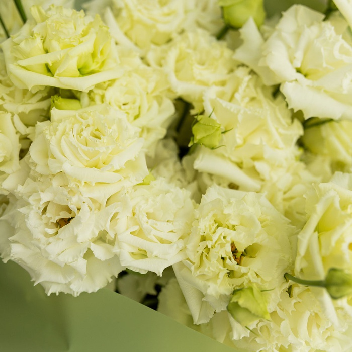 Букет 11 белых эустом