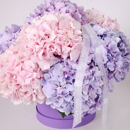 Квіти в коробці "Танок гортензії"