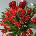 Букет 51 красных дабл тюльпанов «С любовью»