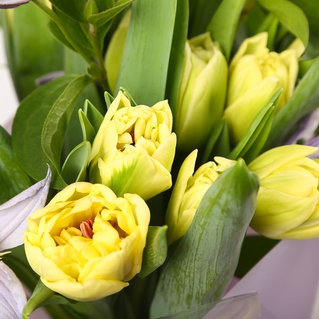 Букет з тюльпанів "Доставка весни"