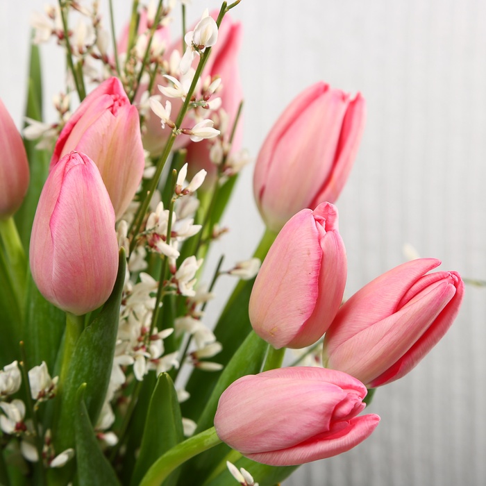 Букет 21 рожевий тюльпан