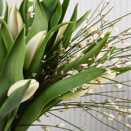 Букет 21 білий тюльпан