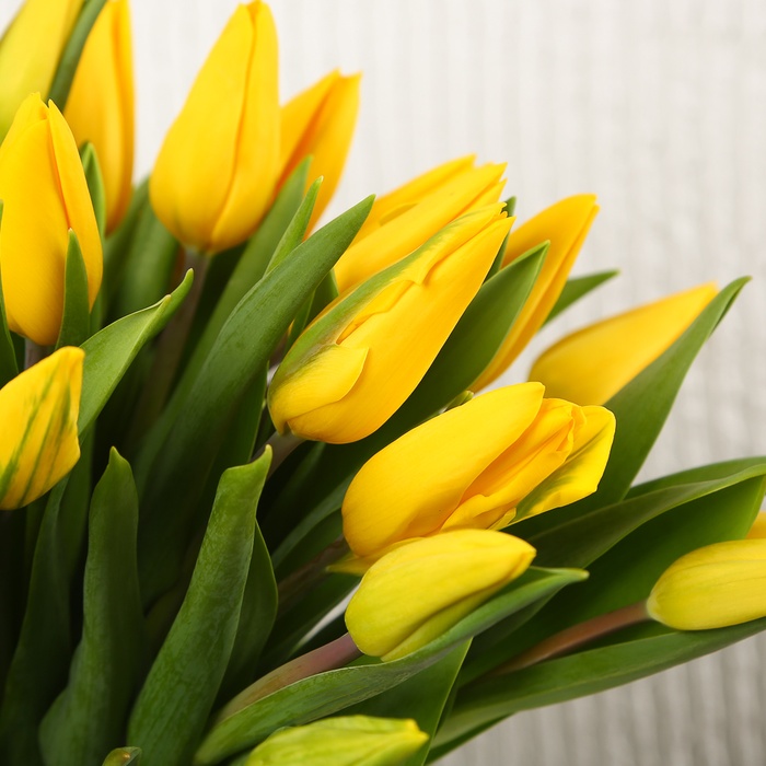 Букет 35 жовтих тюльпанів