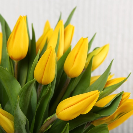Букет 51 жовтий тюльпан